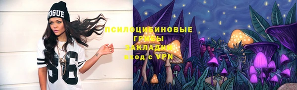 spice Армянск