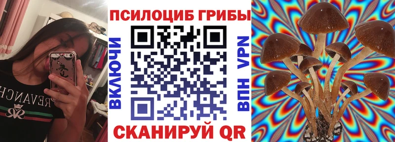 нарко площадка официальный сайт  omg онион  Онега  Галлюциногенные грибы прущие грибы 